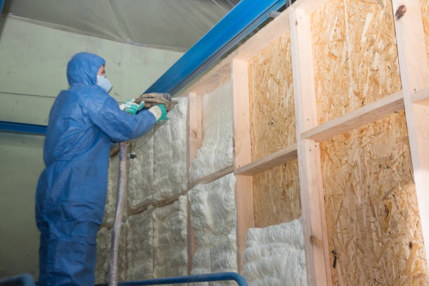 Insulation Repair Services in North Little Rock, AR