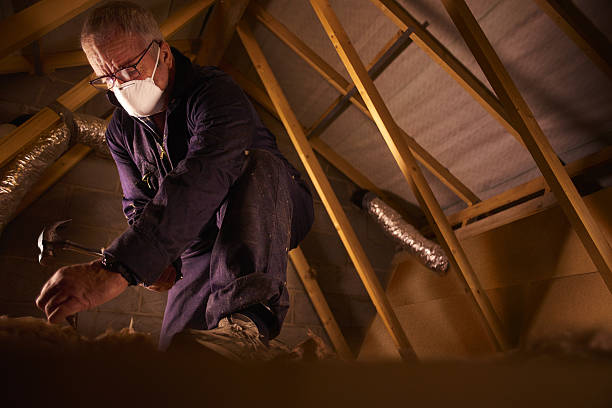 Best Local Insulation Services  in North Little Rock, AR